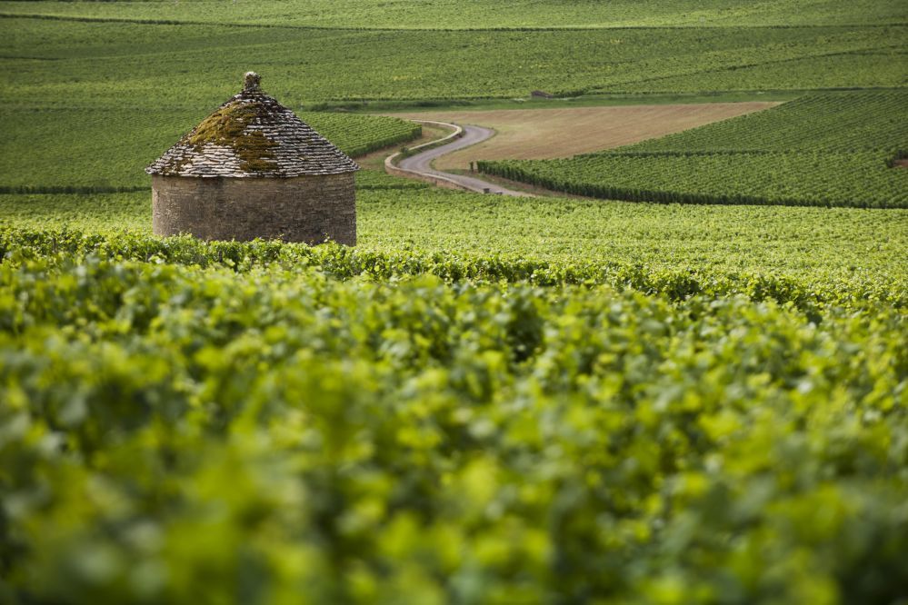 Sure Hotel by Best Western Centre Beaune - Surroundings