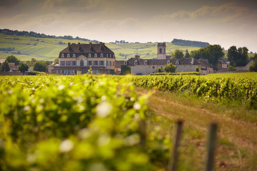 Sure Hotel by Best Western Centre Beaune - Surroundings